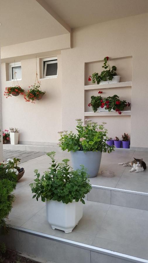 Lovely Private Flats Free Parking Νόβι Σαντ Εξωτερικό φωτογραφία