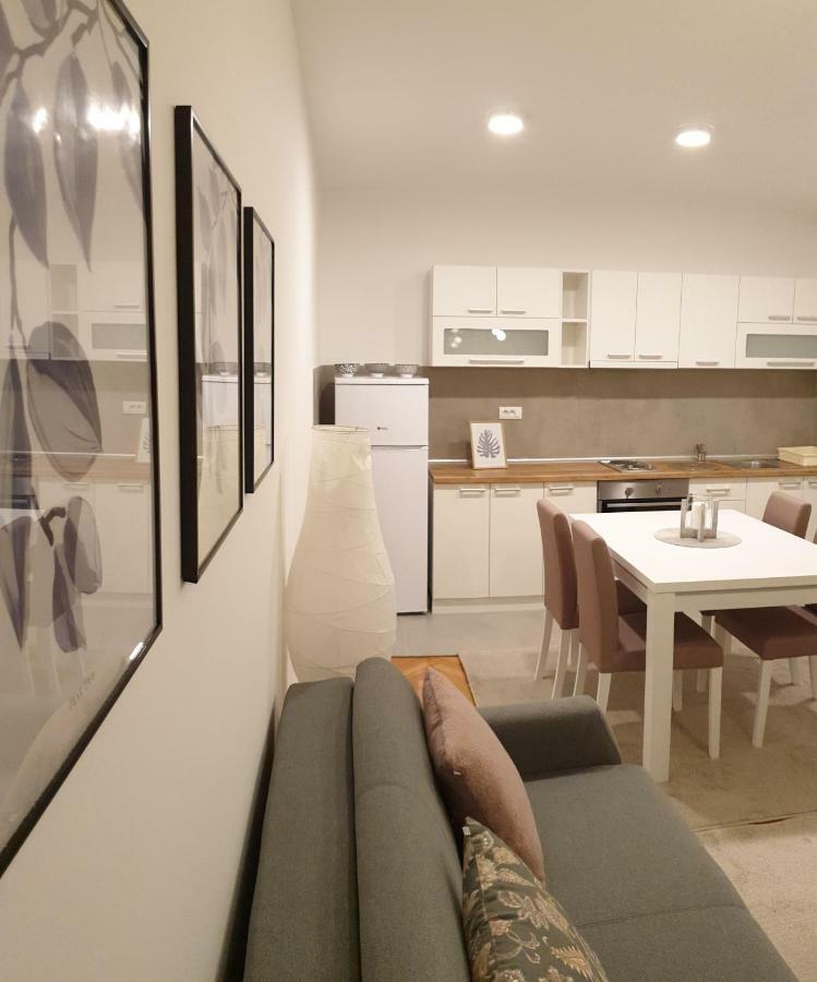 Lovely Private Flats Free Parking Νόβι Σαντ Εξωτερικό φωτογραφία